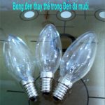 Bóng đèn thay thế